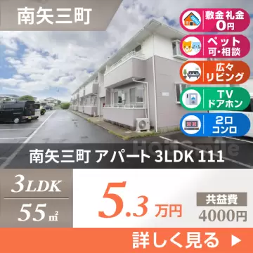 南矢三町 アパート 3LDK 111