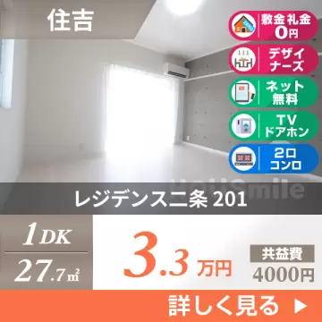 レジデンス二条 201