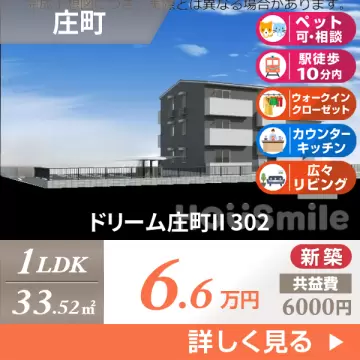 ドリーム庄町II 302