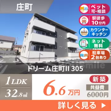 ドリーム庄町II 305