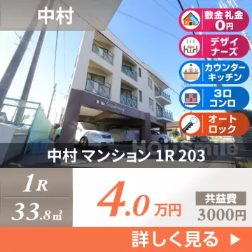 中村 マンション 1R 203
