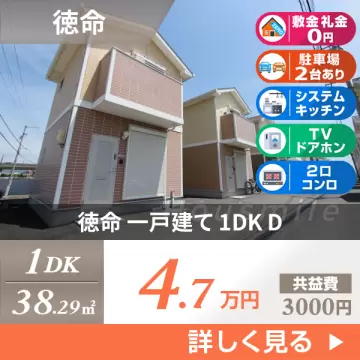 徳命 一戸建て 1DK D