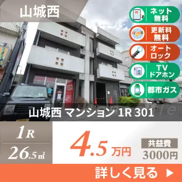 山城西 マンション 1R 301