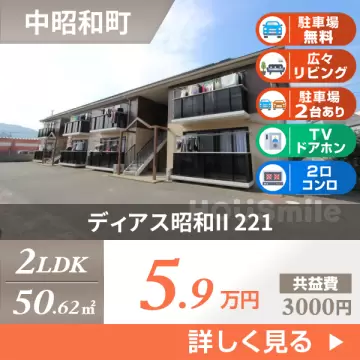 ディアス昭和II 221