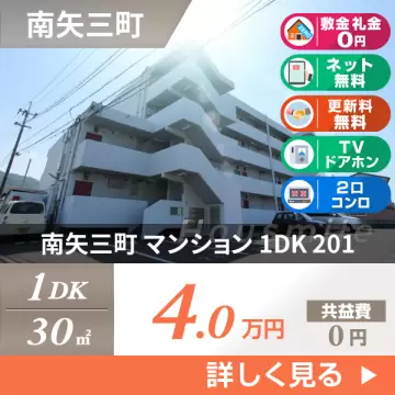 南矢三町 マンション 1DK 201