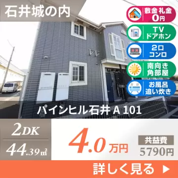 パインヒル石井 A 101