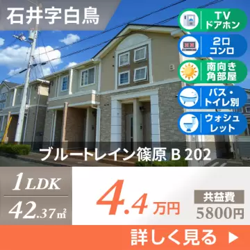 ブルートレイン篠原 B 202
