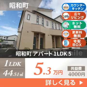 昭和町 アパート 1LDK 5