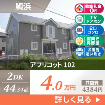 アプリコット 102