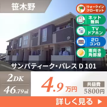 サンパティーク・パレス D 101