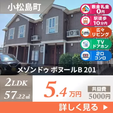 メゾン ドゥ ボヌールB 201