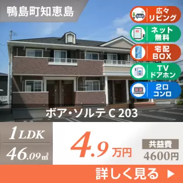 ボア・ソルテ C 203