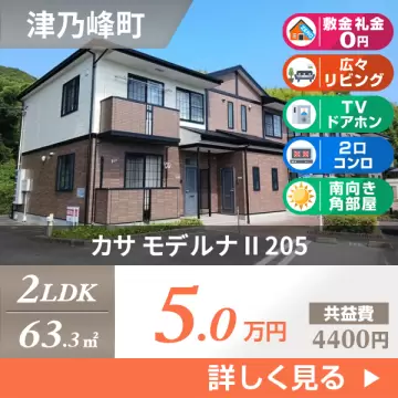 カサ モデルナ II 205