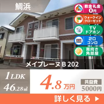 メイプレーヌ B 202