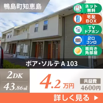 ボア・ソルテ A 103