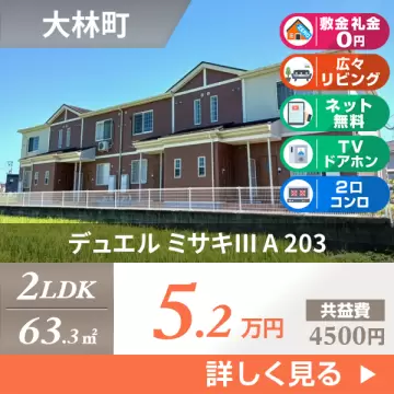 デュエル ミサキIII A 203