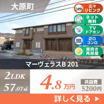 マーヴェラスB 201