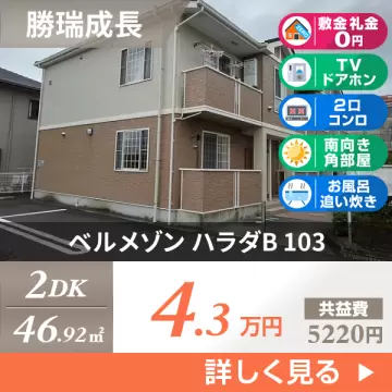 ベルメゾン ハラダB 103