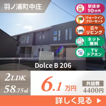 Dolce B 206