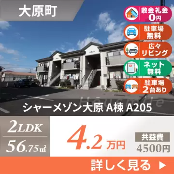 シャーメゾン大原 A棟 A205