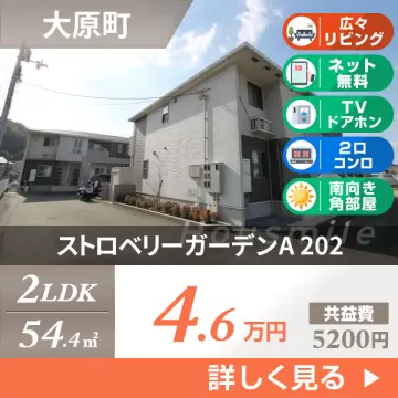 ストロベリーガーデンA 202