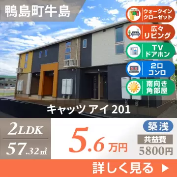 キャッツ アイ 201