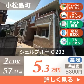 シェルブルー C 202