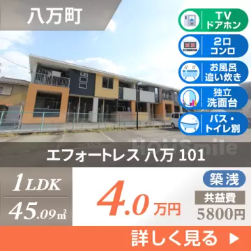 エフォートレス 八万 101