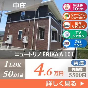 ニュートリノ ERIKA A 101