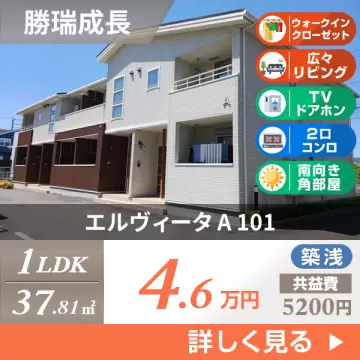 エルヴィータ A 101