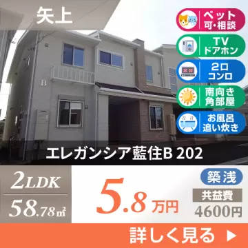 エレガンシア藍住B 202