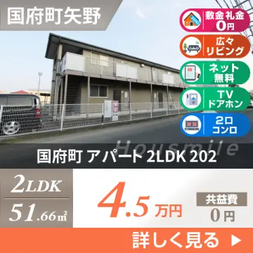 国府町 アパート 2LDK 202