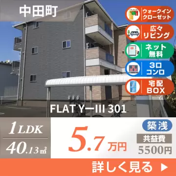 FLAT YーIII 301