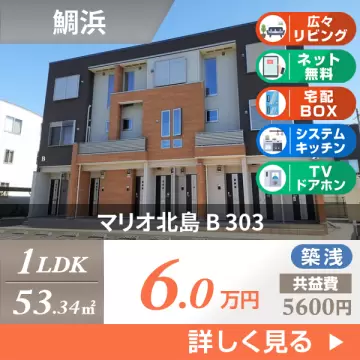 マリオ北島 B 303