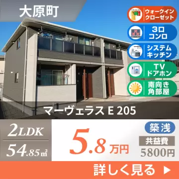 マーヴェラス E 205