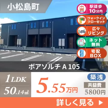 ボアソルチ A 105