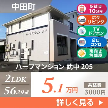 ハーブマンション 武中 205
