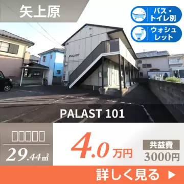 PALAST 101