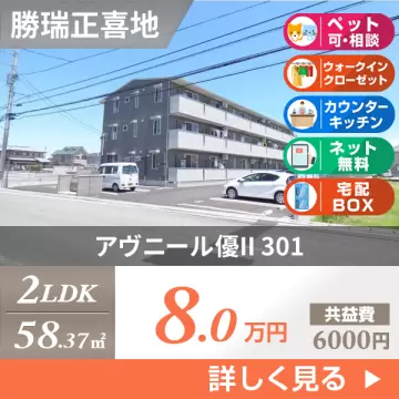 アヴニール優II 301