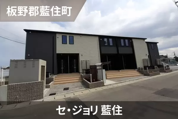 セ・ジョリ 藍住の建物紹介