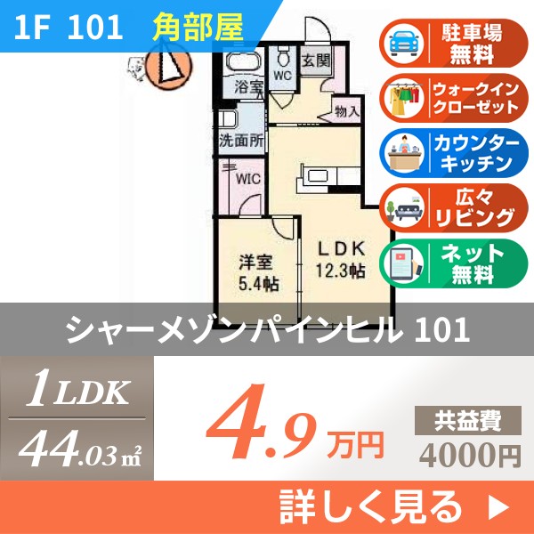 シャーメゾンパインヒル 101