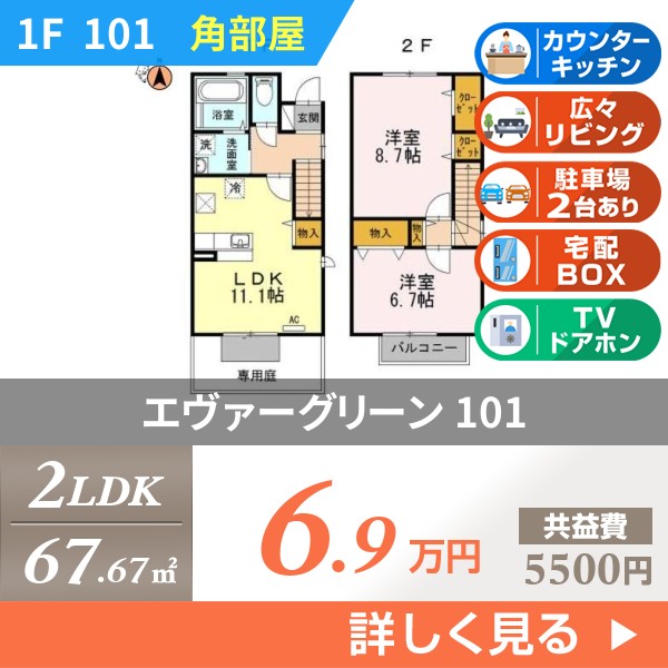 エヴァーグリーン 101