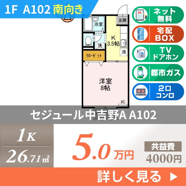 セジュール中吉野A a102