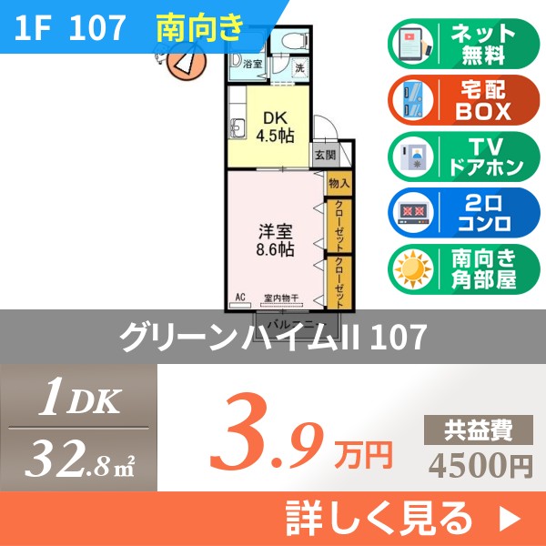 グリーンハイムII 107