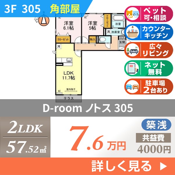 D-room ノトス 305