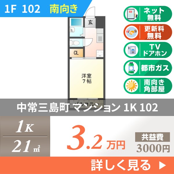 中常三島町 3階建マンション 1992年築 102