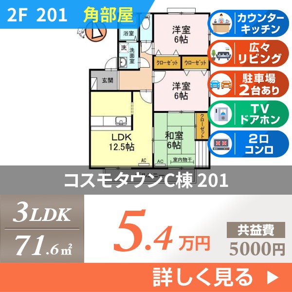 コスモタウンC棟 201