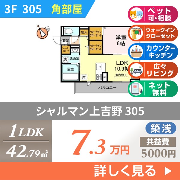 シャルマン上吉野 305