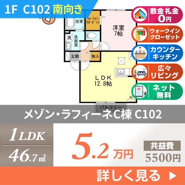 メゾン・ラフィーネC棟 c102