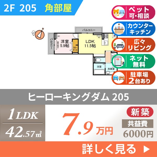 ヒーローキングダム 205